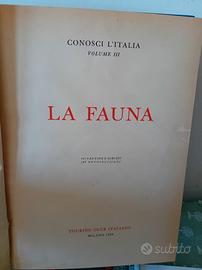 Libro - La fauna vol. III