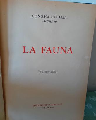 Libro - La fauna vol. III