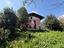 Immagine 29