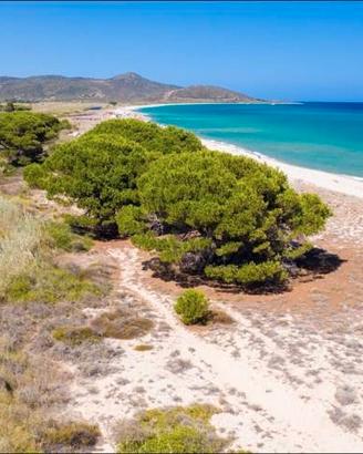 Vacanze Mare Agosto