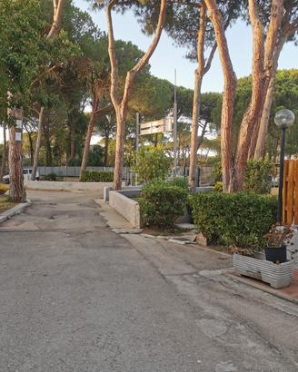 Appartamento Platamona