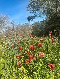 Indipendente casetta ideale per il Weekend