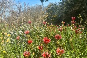 Indipendente casetta ideale per il Weekend