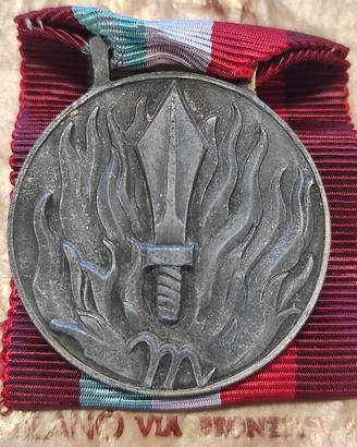 Medaglia al merito di servizio vigili del fuoco