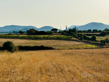 Terreno Agricolo Bracciano
