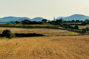 Terreno Agricolo Bracciano
