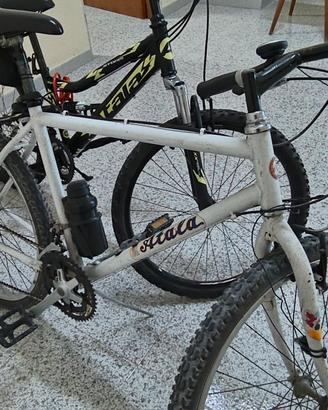 bici Atala n2