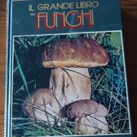 Il grande libro dei funghi