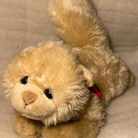 Peluche gattino Trudi