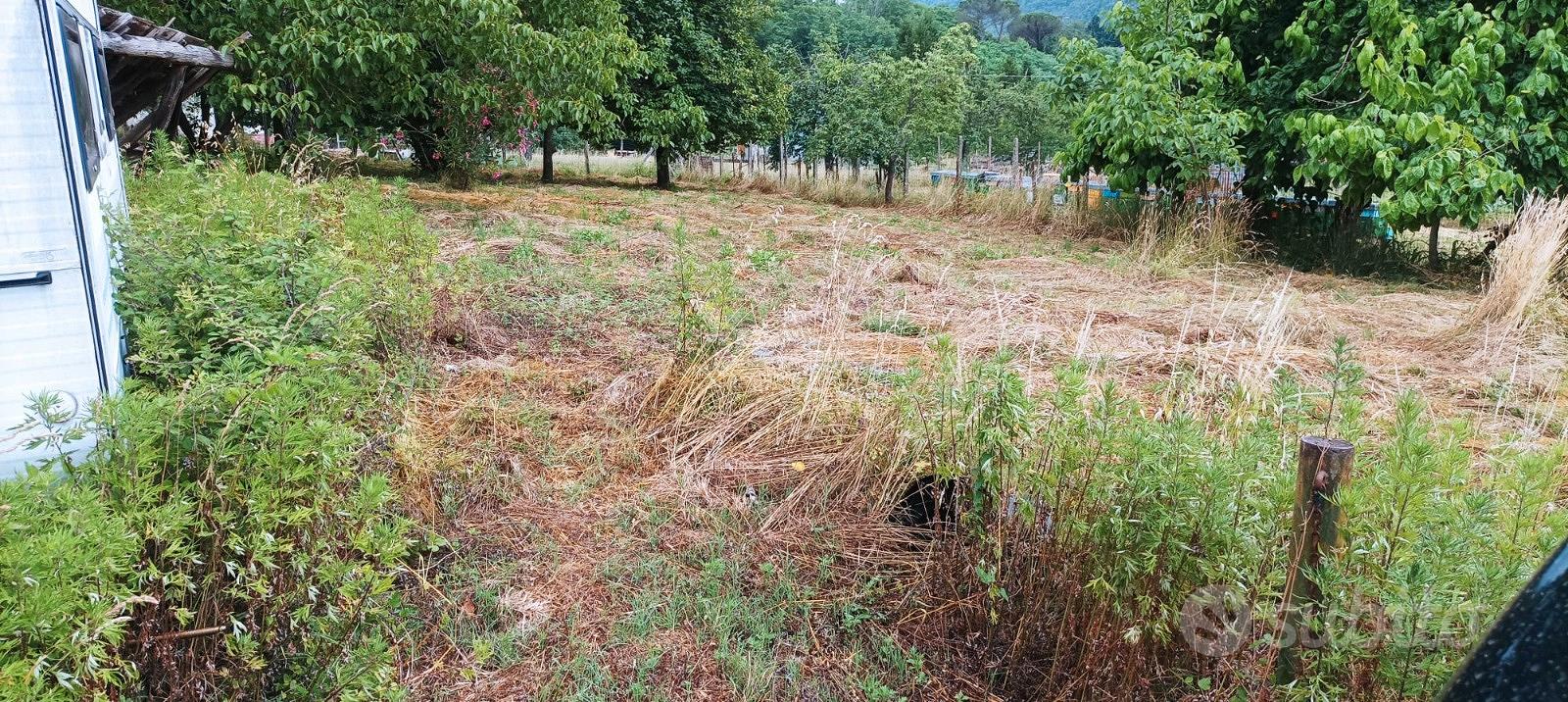 Grande rustico con terreno - Vista 3