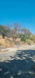 Terreno 4000 m uliveto e mandorleto