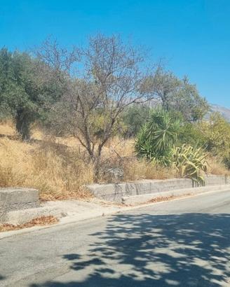 Terreno 4000 m uliveto e mandorleto