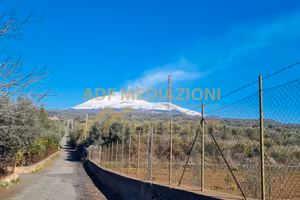 Terreno Agricolo Con Piccolo Rudere