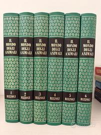 Raccolta “Il mondo degli animali”