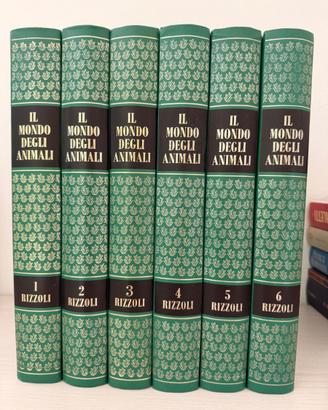 Raccolta “Il mondo degli animali”