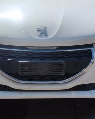PEUGEOT 208 2015 MUSATA COMPLETA