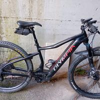 E-MTB Olympia performer