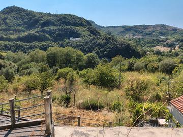 Terreno agricolo con casetta rurale e magazzino