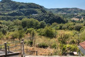 Terreno agricolo con casetta rurale e magazzino