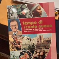 Enciclopedia “Tempo di Scuola Nuova”- Febo Conti