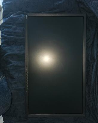 Monitor Eizo flexscan EV2336W