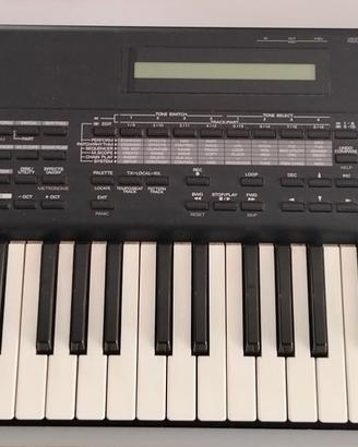 Roland XP50