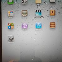 IPad 1 generazione (2010) A1337 (wifi +3g) 64 gb