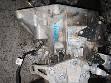 CAMBIO MANUALE F1AE3481D 2.3 MJ 6 MARCE