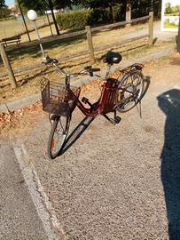 BICI ELETTRICA 36V