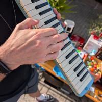 Angel Melodyhorn AM-32K3 – Melodica 32 tasti