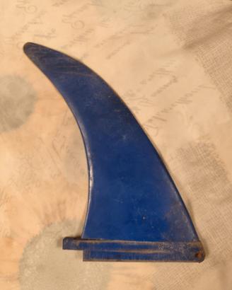 Pinna windsurf vintage