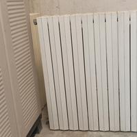 Termosifoni in ghisa 