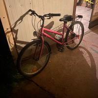 bici mountain bike  24