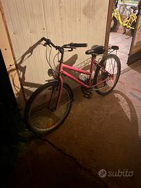 bici mountain bike  24