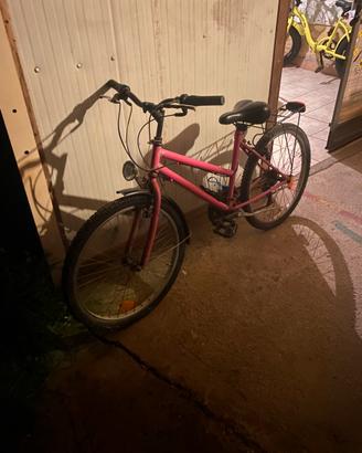 bici mountain bike  24