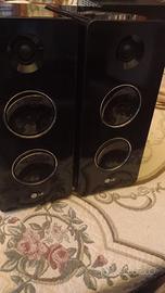 coppia di casse lg 160 watt in din