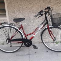 donna 28 con marce e cestino pronta all'uso 