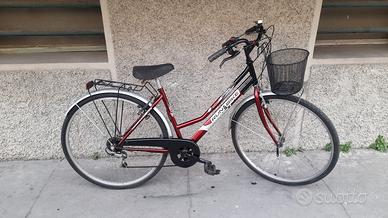 donna 28 con marce e cestino pronta all'uso 