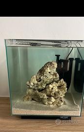 Acquario marino