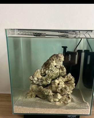 Acquario marino