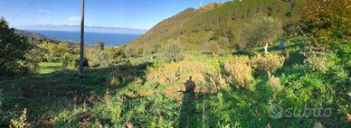 Terreno agricolo con rudere vista mare