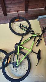 Bicicletta Mauntain Bike verde (S)