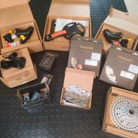 Gruppo Bici Ekar Campagnolo