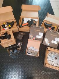 Gruppo Bici Ekar Campagnolo