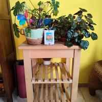Carrello di legno massiccio d'Ikea