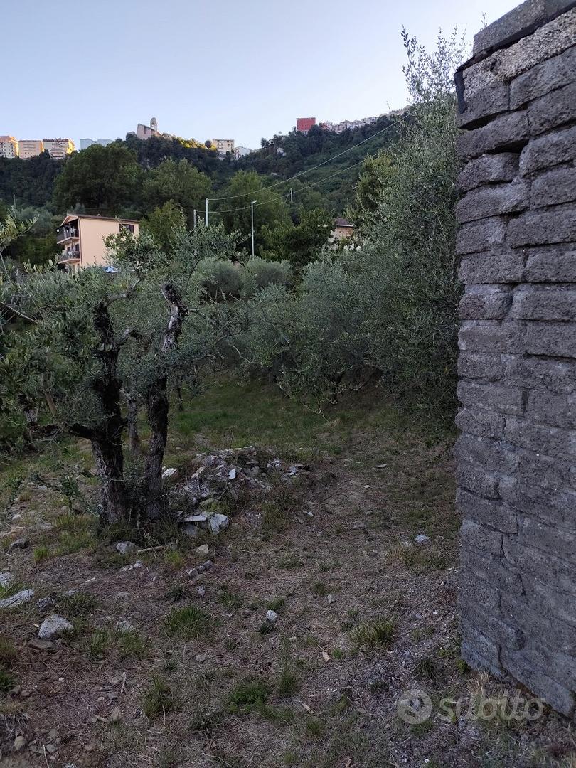 Rustico con terreno 8000 mq - Vista 2