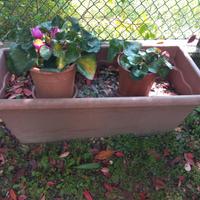 Vaso in plastica per fiori