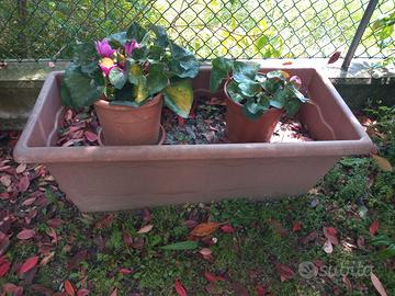 Vaso in plastica per fiori