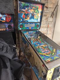 flipper fish tales - Collezionismo In vendita a Cuneo