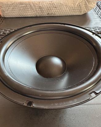 Audiophile 10.2